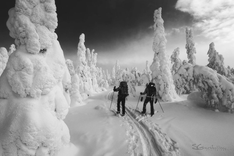 Урал, Северный Урал, ГУХ, лыжный поход, Главный Уральский Хребет Идем по Северному Уралуphoto preview