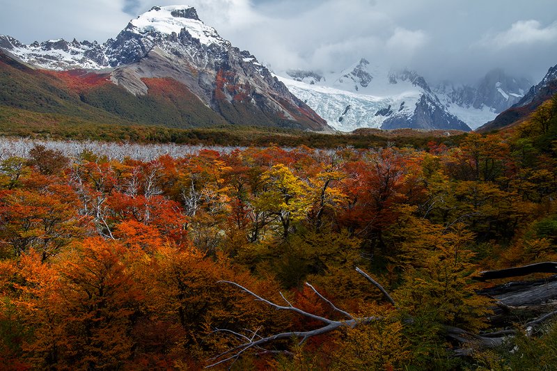 el, chaoten 2 года назад. Апрель в Эль Шалтене. Патагония. фото превью