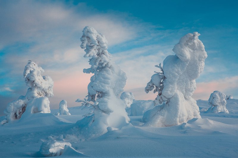 север, зима, пейзаж, утро, рассвет Три сестрицыphoto preview