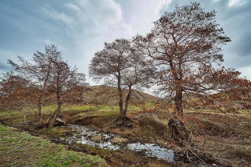 южный урал,оренбургская область, орск, новотроицк, Весна на Южном Урале фото превью