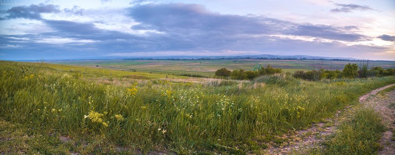 родные, просторы, поле, трава, небо, панорама, темрюк Родные просторыphoto preview