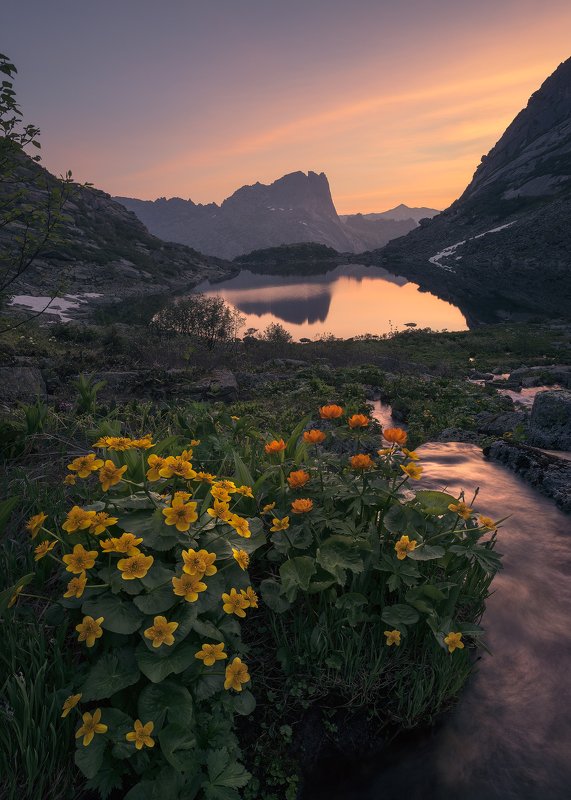 The Mountains Spiritsphoto preview