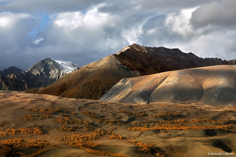 алтай, altai, осень, autumn, горы, mountains Полет во сне и наявуphoto preview