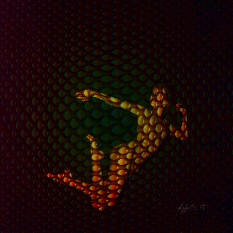 djfoto, nudevilnius, nuderart, vilnius, projection In the Netsphoto preview