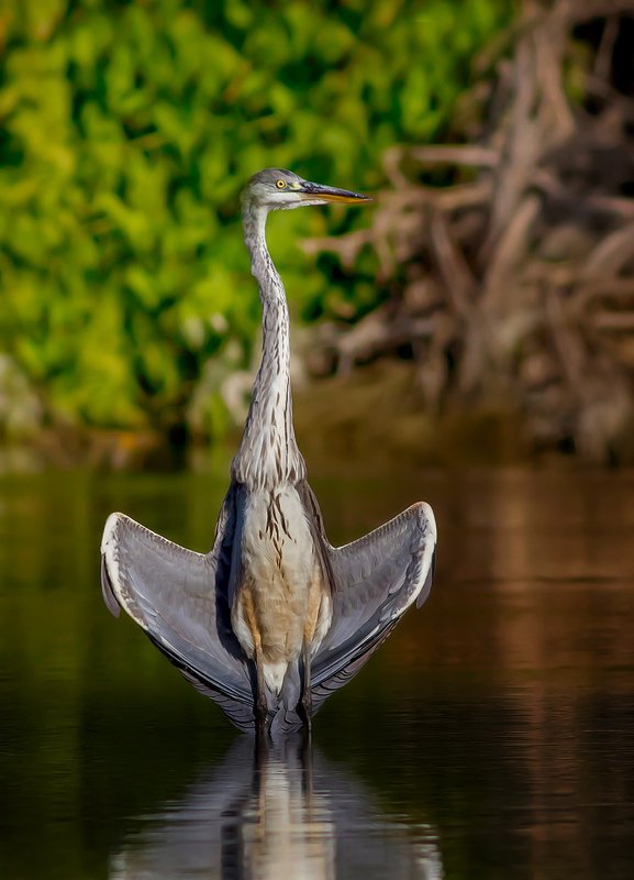 ,,.---.,.-.,-,photo preview