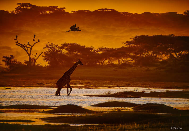 Sunset, Tanzaniaphoto preview