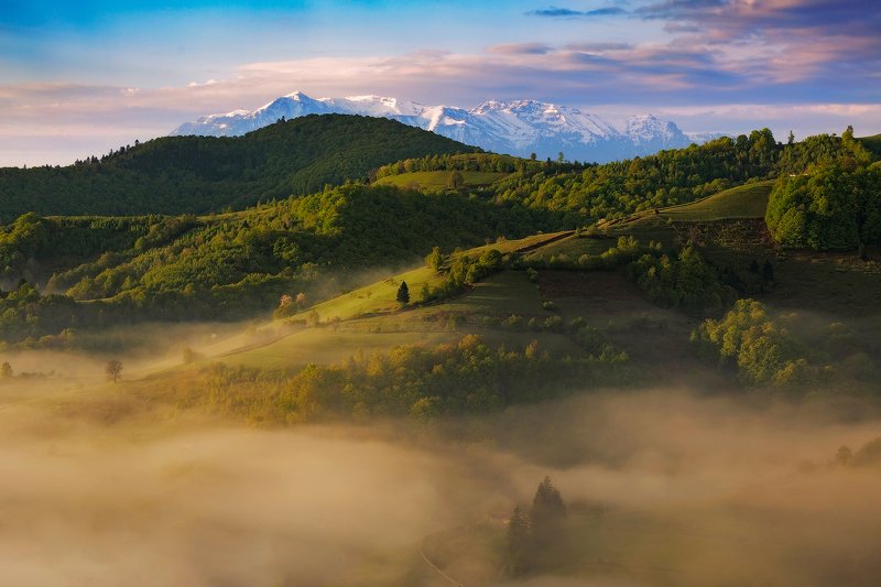 spring, trees, green, snow, landscape, travel, nature, mountain, romania, sunrise Magic Morningphoto preview