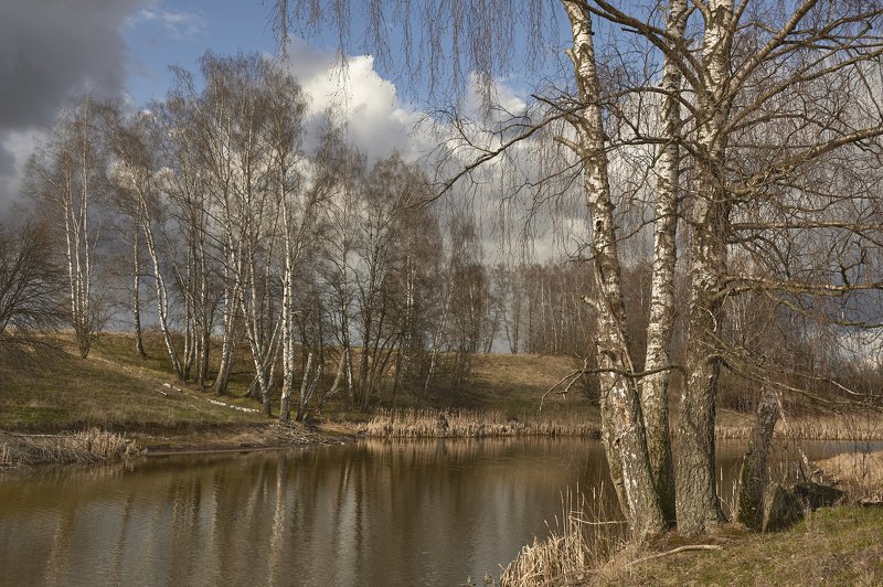 веснаphoto preview