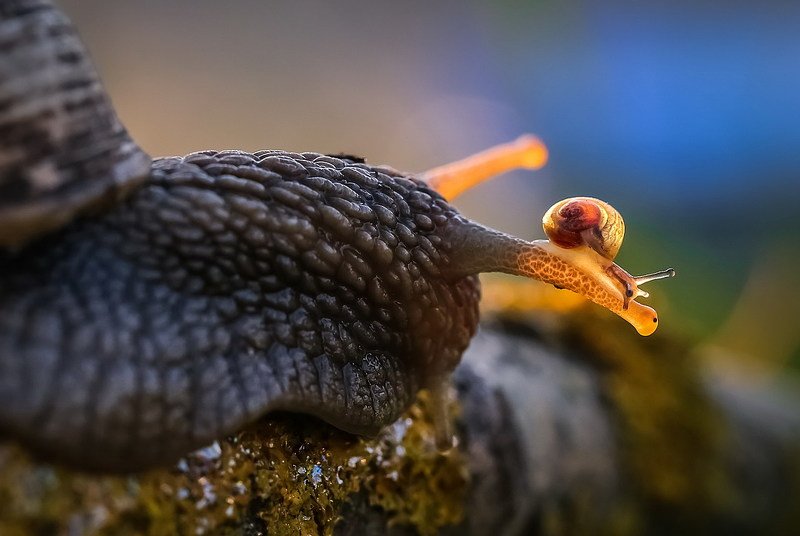 Любимой крохе можно все...photo preview