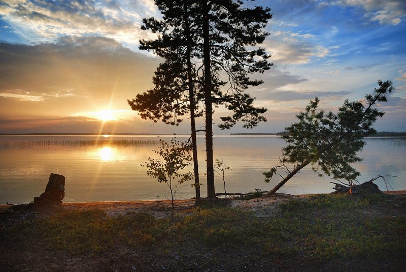 кольский, закат, вода, сосны Закат на Канозере фото превью