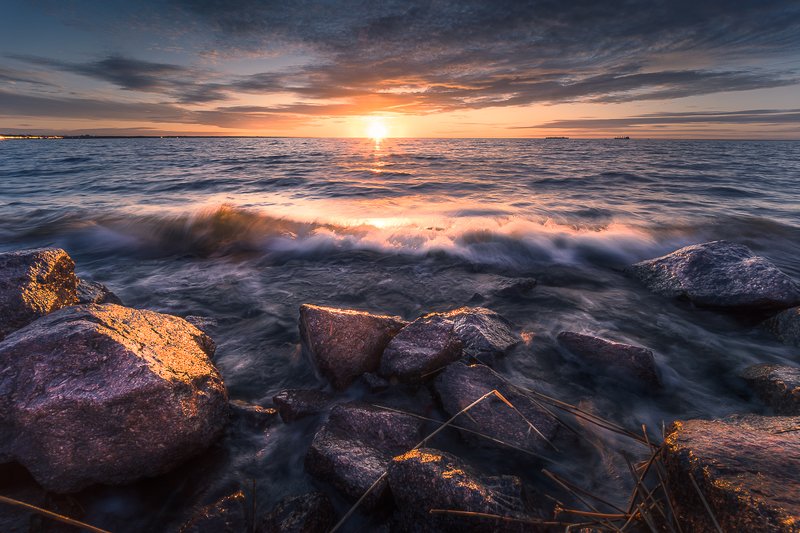 Балтикаphoto preview