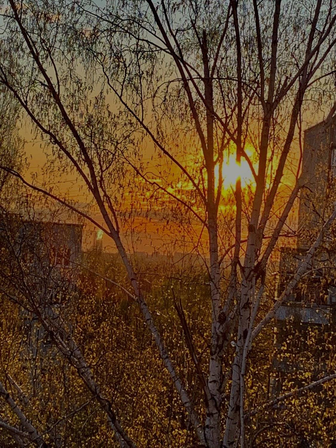 На закате. Автор: Татьяна украина, закат, природа, Татьяна