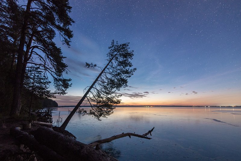 Задремавший часовойphoto preview