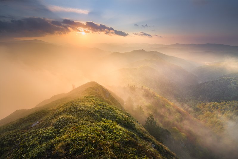 In another worldphoto preview