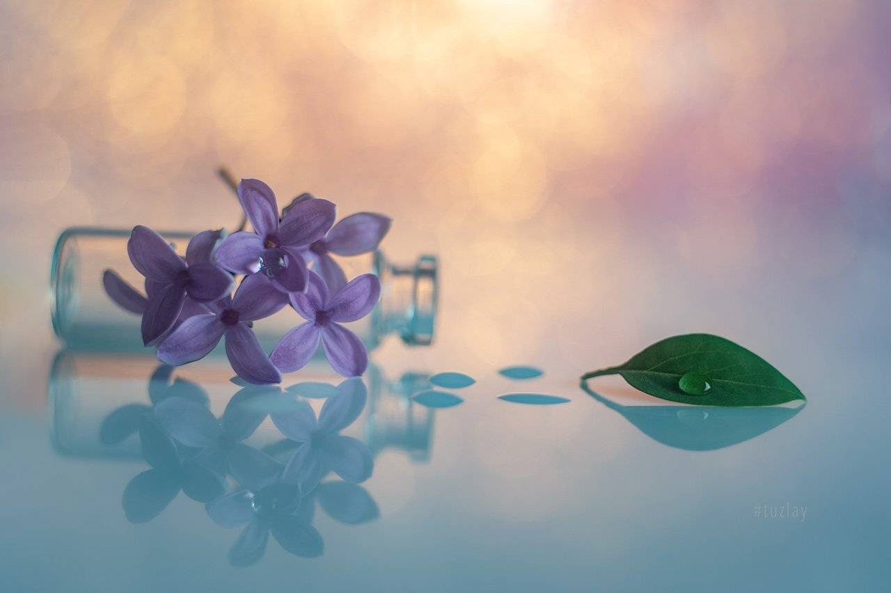 Апрельские фантазии с сиренью. Автор: Владимир Тузлай сирень, боке, гелиос 44, Владимир Тузлай