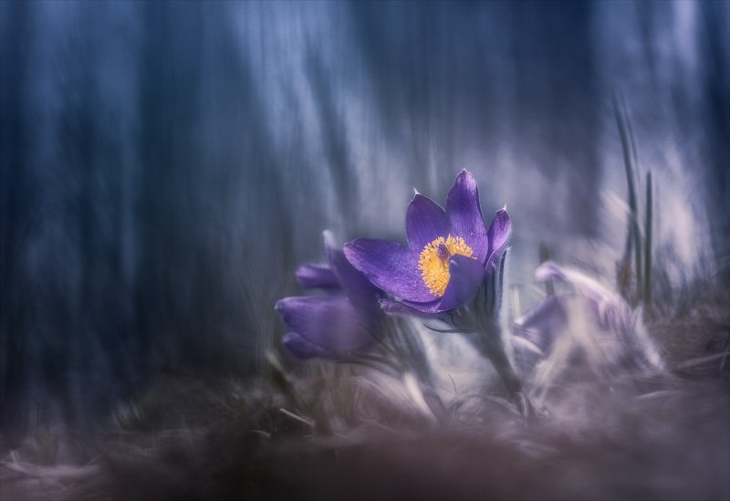 Тревожное...photo preview