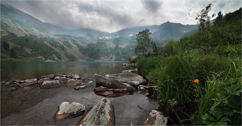 цветочек аленькийphoto preview