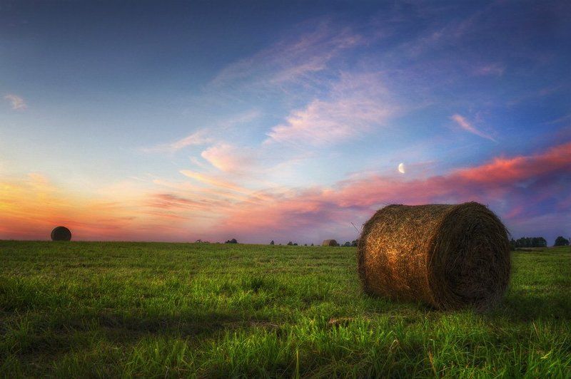 Лето фото превью