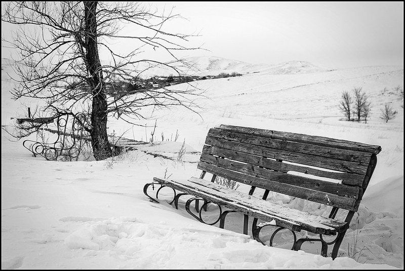 Forgottenphoto preview