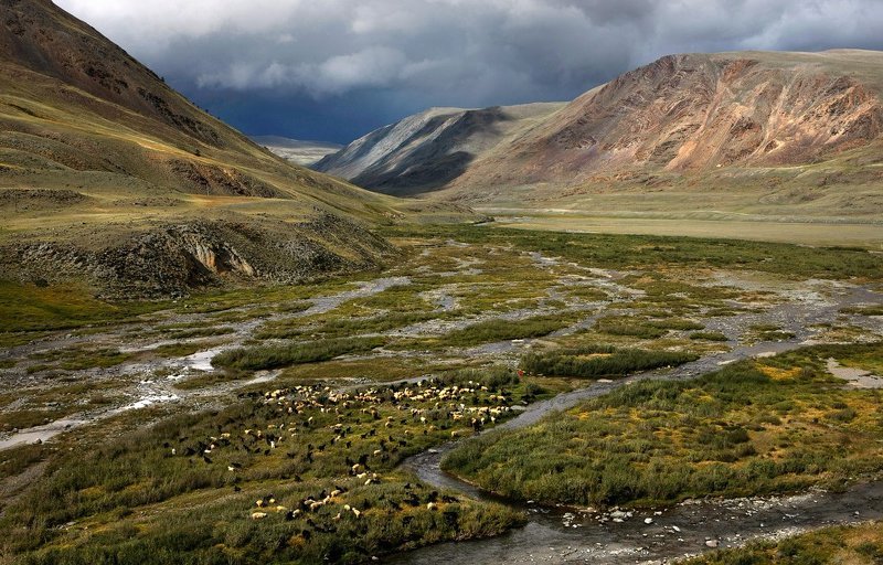 Горный Алтай.photo preview