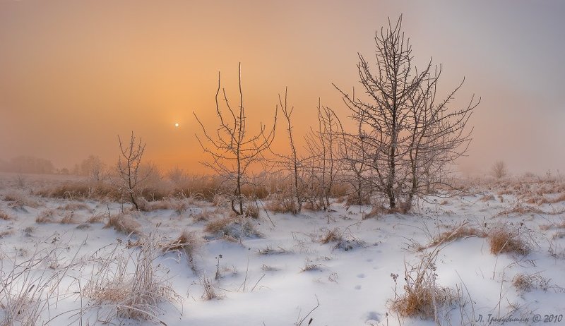 И на Марсе яблони ростут ))photo preview