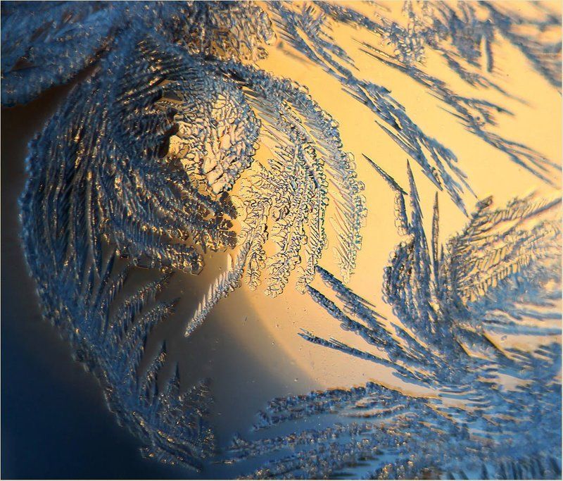 Морозная живопись.photo preview