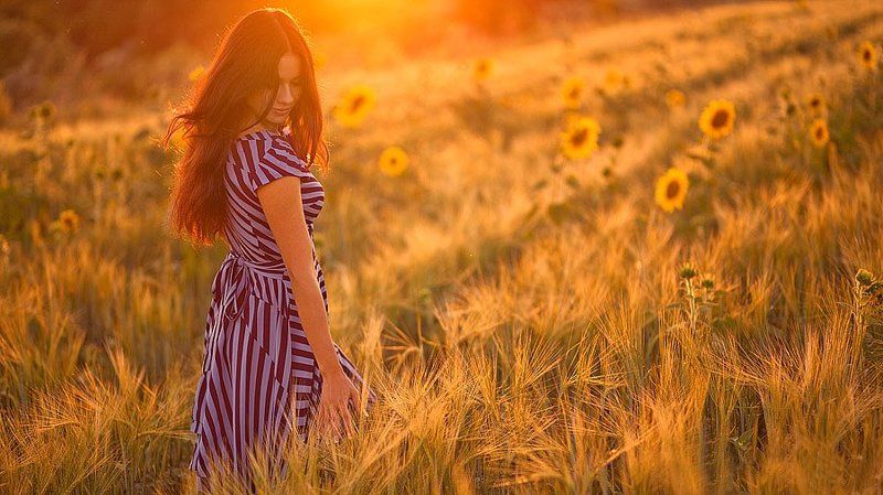 Puesta del sol de trigophoto preview