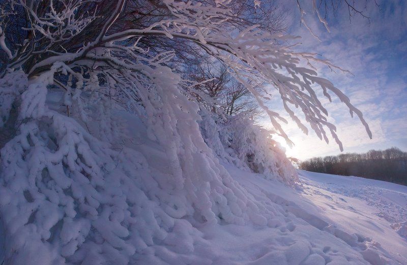 Солнечный денёкphoto preview