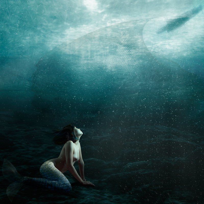 the old man fishing story - 1 фото превью