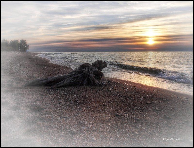 байкал, бурятия, берег, коряга, закат Lonelinessphoto preview