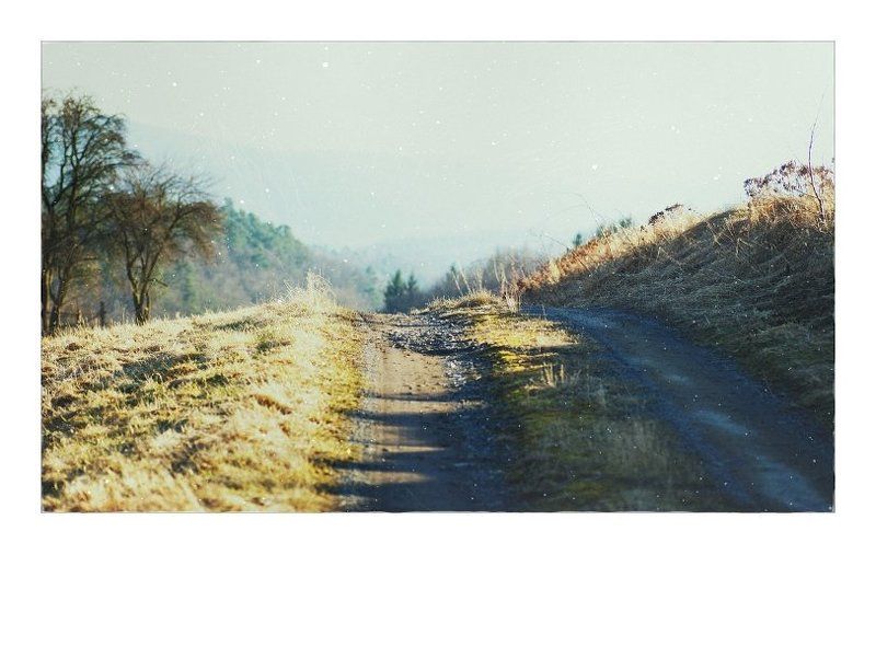 If you\'re going to San Franciscophoto preview