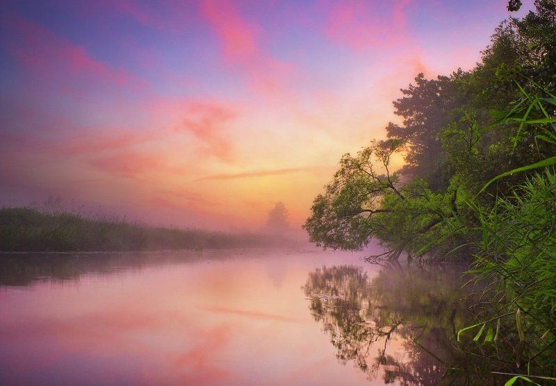 утро, река, небо, Райские цвета фото превью