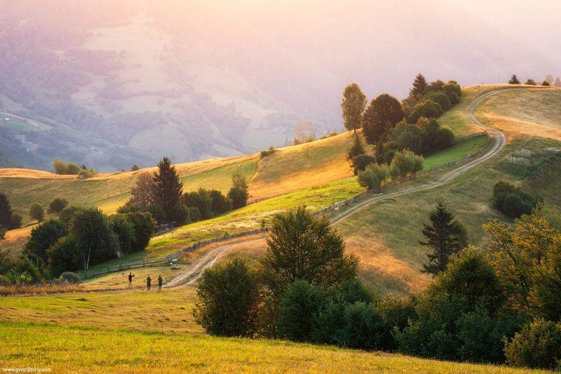 Солнечные Карпатыphoto preview