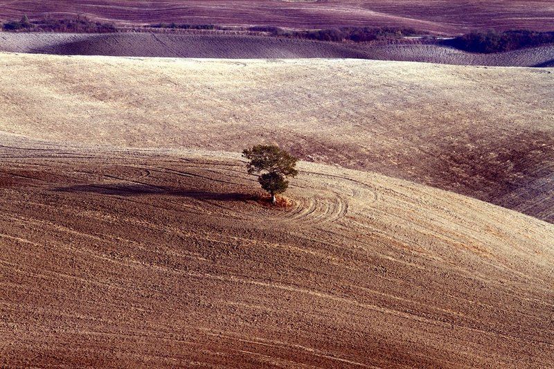 Тосканаphoto preview