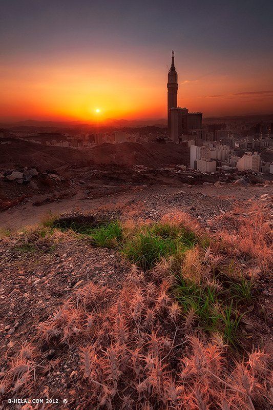 King Abdul Aziz Endowmentphoto preview