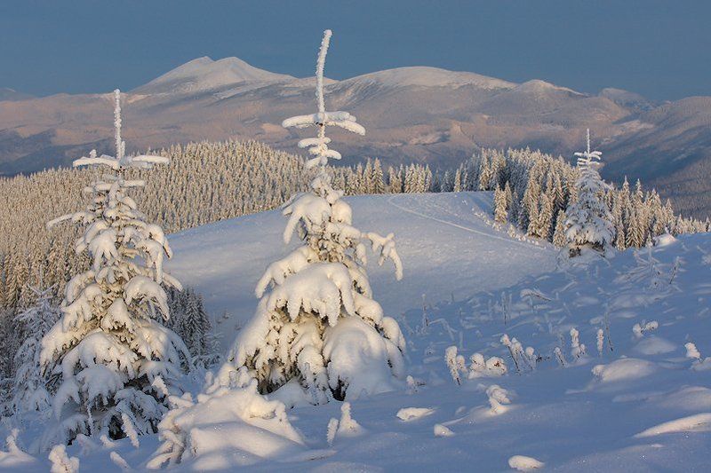 с наступающими!!! фото превью