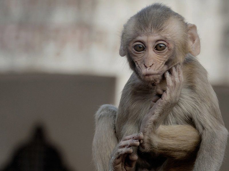 Задумавшись про год минувший...photo preview