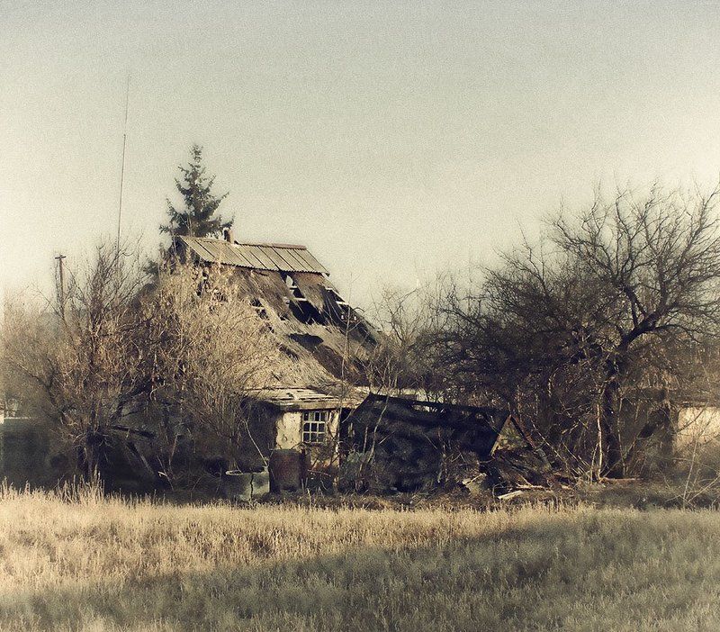 Доживая свой век...photo preview