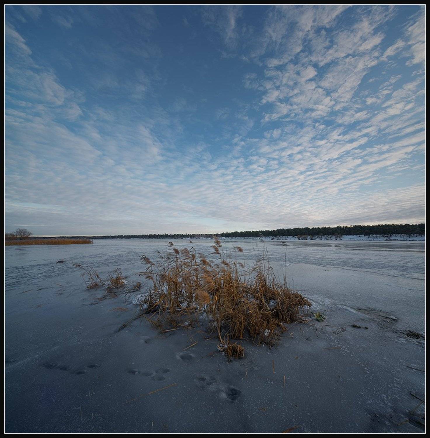 nikon d600, nikon af 14 f2.8d ed,, Алексей Соловей