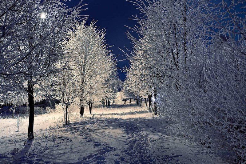 С Новым Годом!photo preview