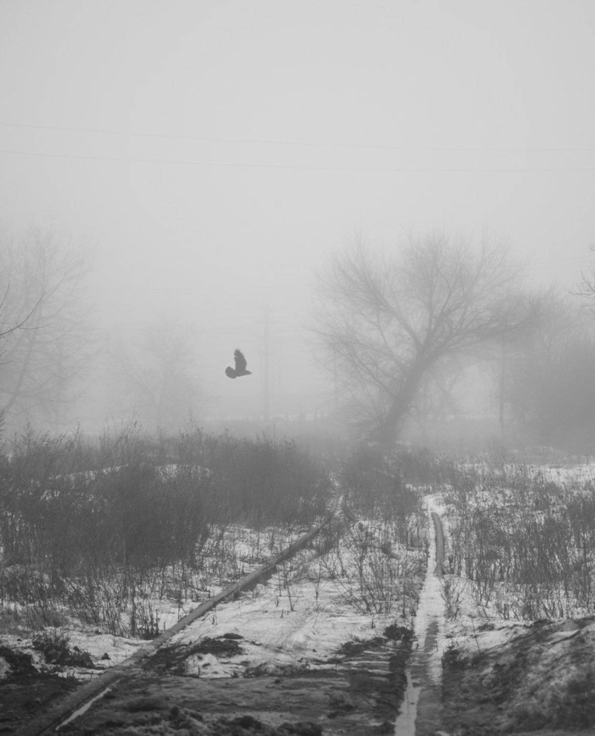 сталкер. Автор: saleru , saleru