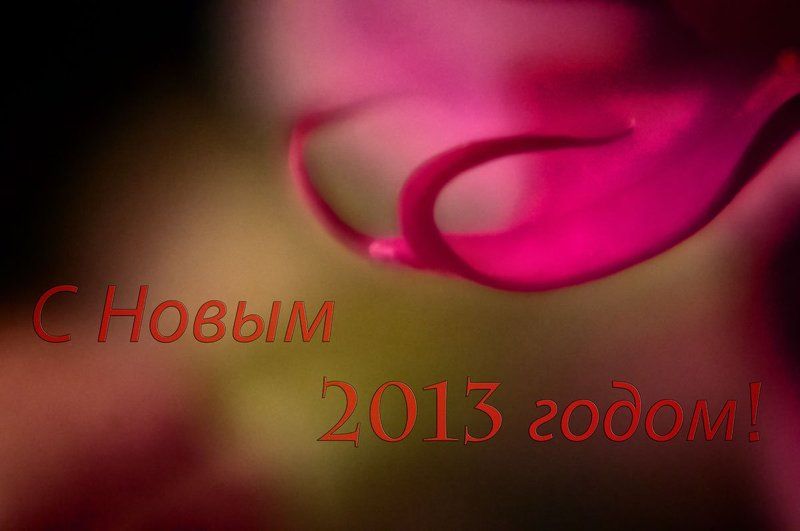 Дорогие Друзья! Поздравляю Вас с Новым 2013 Годом! Успехов и Удачи в Новом Году!photo preview