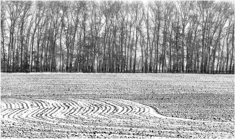 Осенняя прическаphoto preview