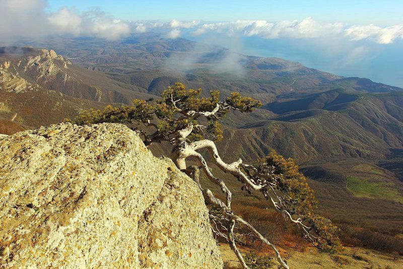 Взгляд на востокphoto preview