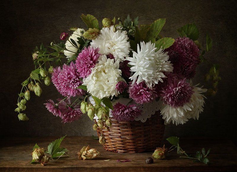 натюрморт, цветы, астры, хризантемы, хмель, корзинка ***photo preview
