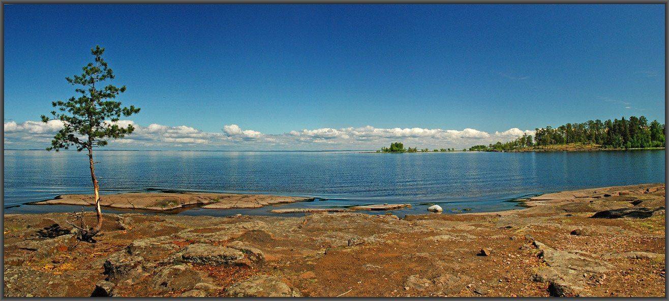 Сила жизни. Автор: Олег Потехин , Олег Потехин