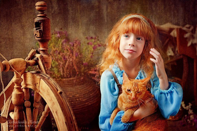 Рыжикиphoto preview