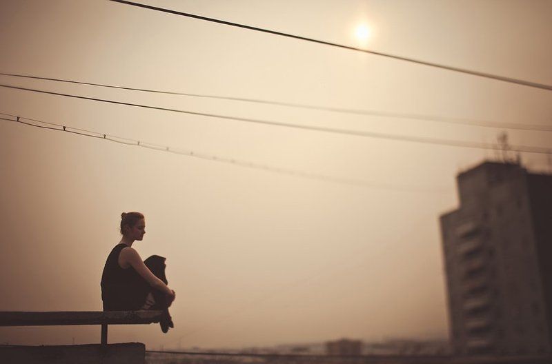 Тишина крышphoto preview