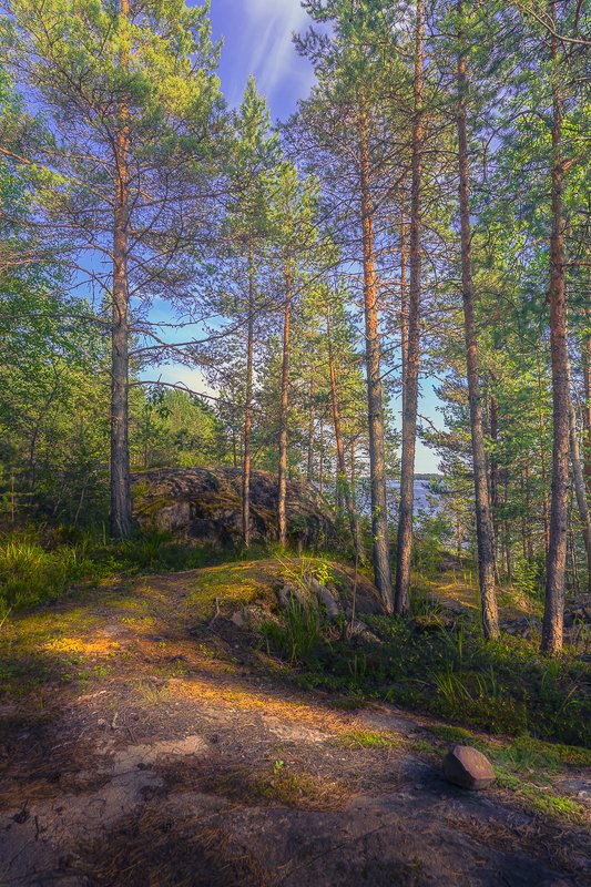 Солнечный деньphoto preview