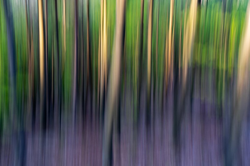 #nature, #abstract, #icm, #forest, #sony, #beauty, #spring, #colors Silhouettephoto preview